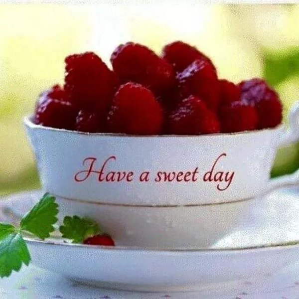 RASMIS23's tweet photo. @alaura2015 @patyie66 @Amakusa12Ww @Nathealings @1AbigailPearcy @AdryMMP @pawg42 @CharsWings @parytaim @oda_f https://t.co/hrEnbf9GjP