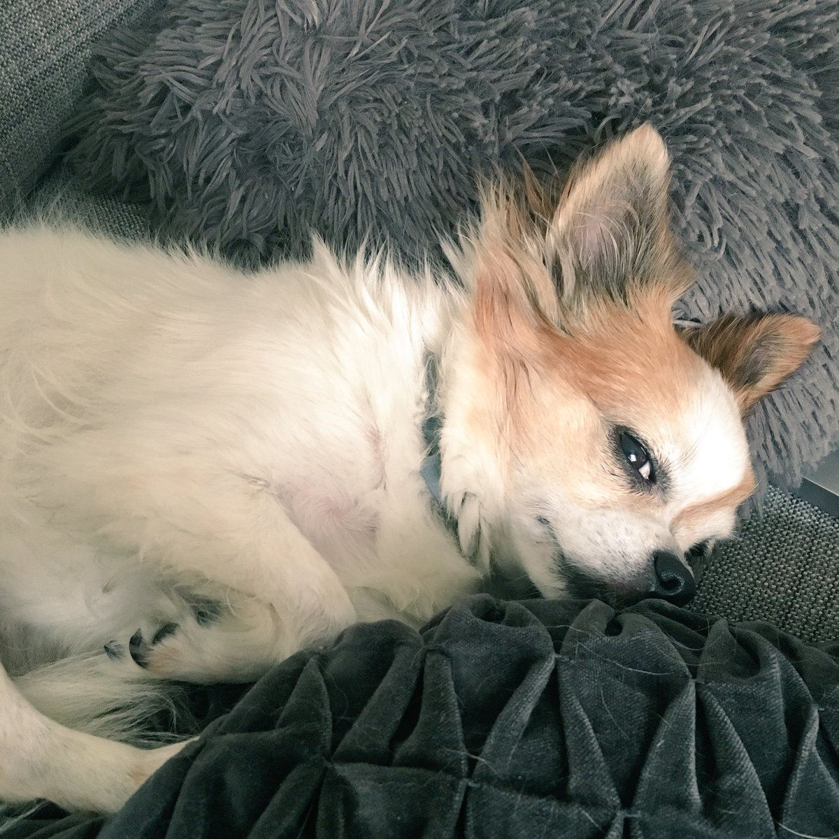 ASOS_Alice's tweet image. MOOD 😴😴😴