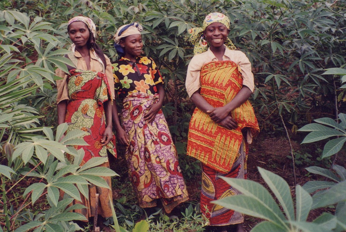 RFUK's tweet photo. #DYK that the amazing #CongoBasin forests provide food, medicine, water &amp; shelter to over 75 million people? https://t.co/my3inUVLmL