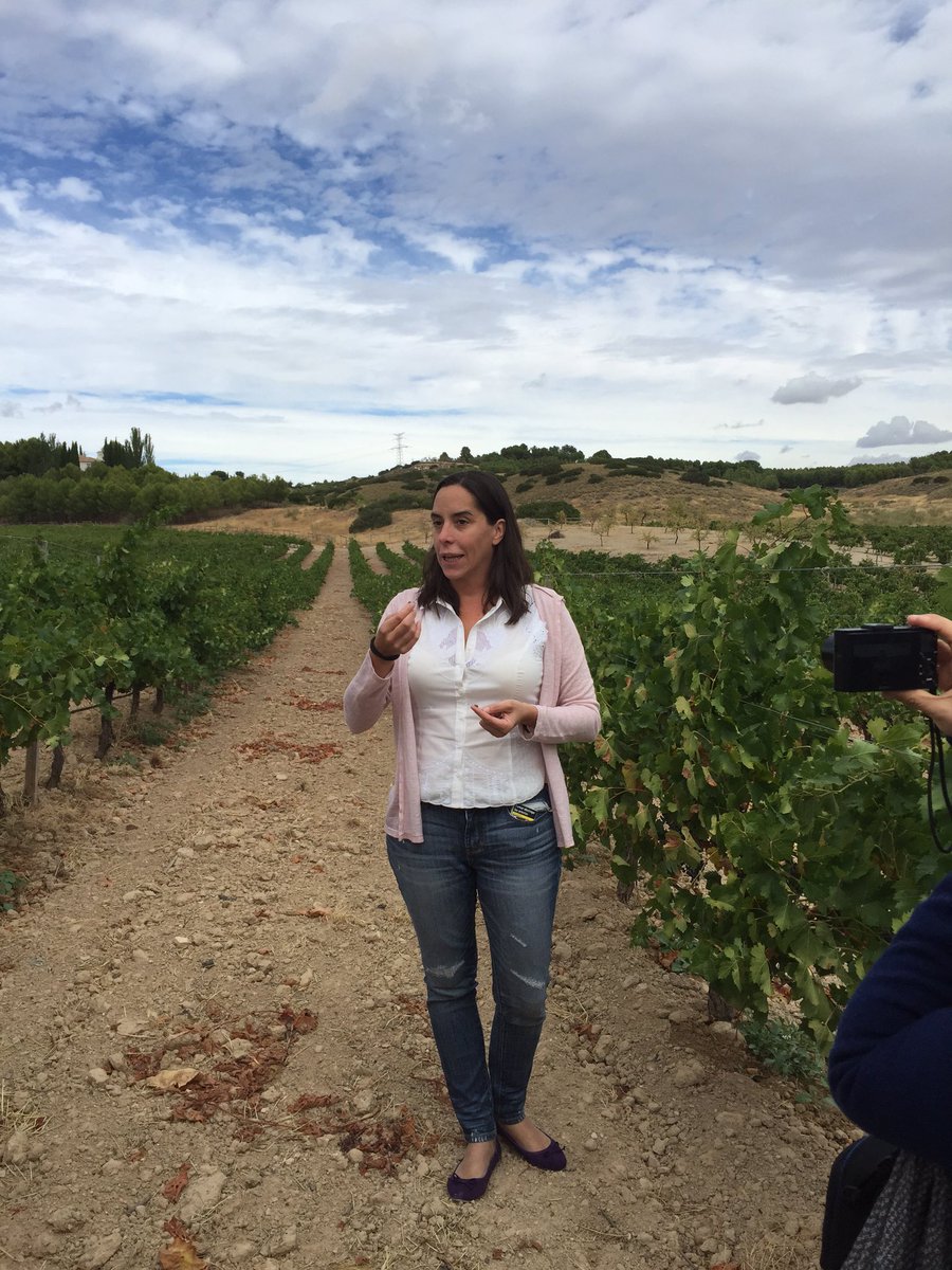 Milideasmilproy's tweet photo. #EvaRodriguez de @BodegaValazul nos cuenta el punto óptimo para recoger la uva https://t.co/fxmz3sAJHT