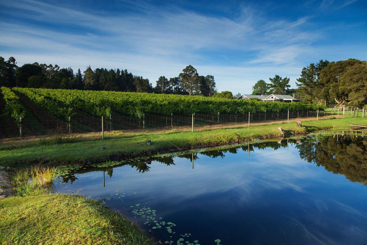 Plett_Tourism's tweet photo. We're welcoming some special friends to the #Plett today to introduce #SasfinPlettWineFest and #plettwinelands https://t.co/lHUUqX4eKP