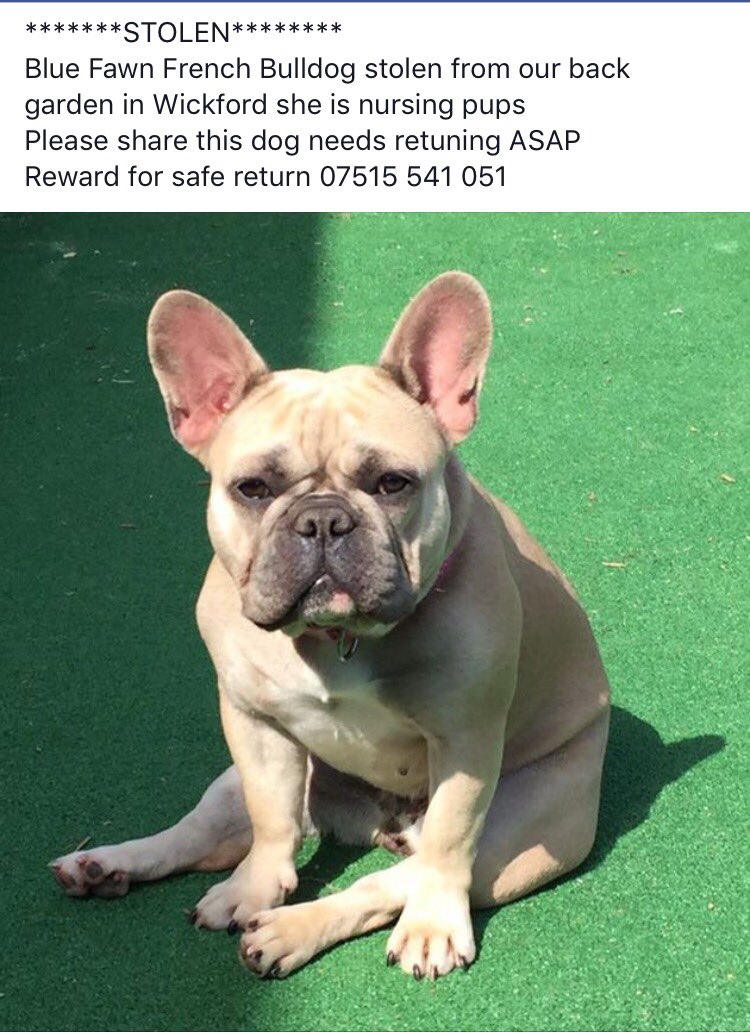 Marts_Carp's tweet image. PLEASE RETWEET !
***STOLEN*** Wickford, Essex