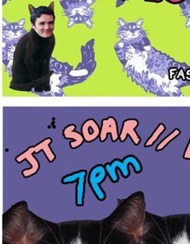 theFWband's tweet photo. JT Soar in Nottingham 7mp tonite meow https://t.co/Oe5oJsM2RI