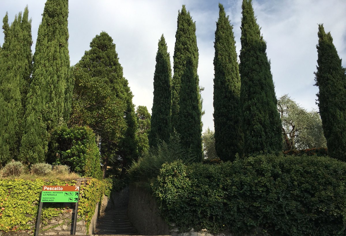 lakecomo_sun's tweet photo. Follow one of the many passages to explore the smaller villages or old churches around #LakeComo. https://t.co/NQmjiQgqkR