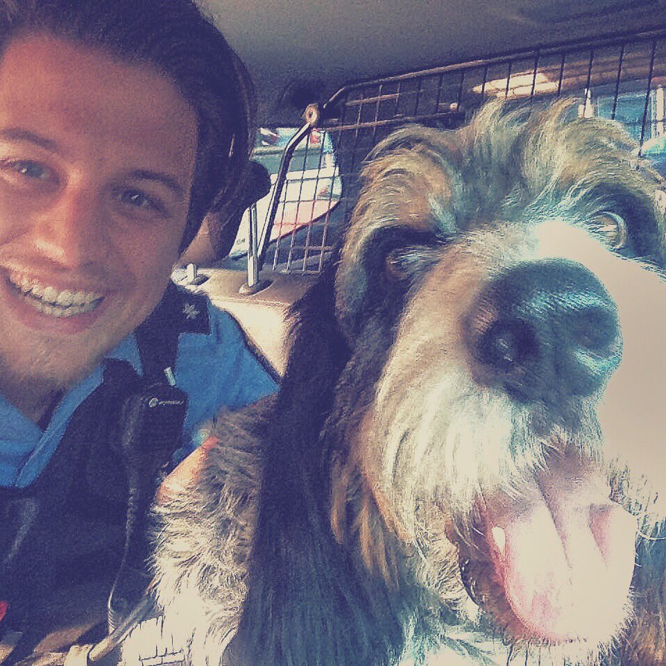 Polizei Frankfurt tweet media