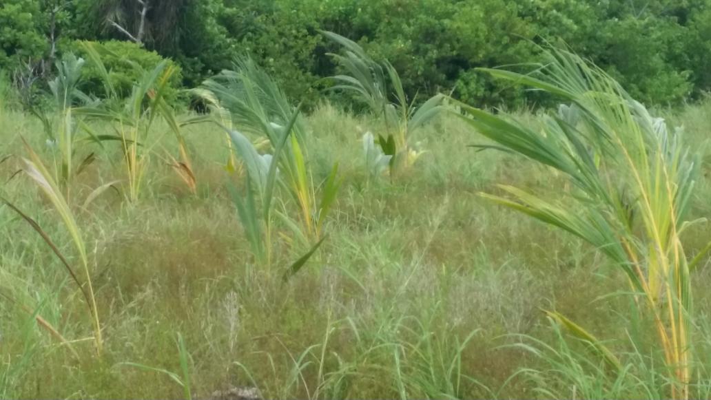 AWDI2007's tweet image. Day 9...☺