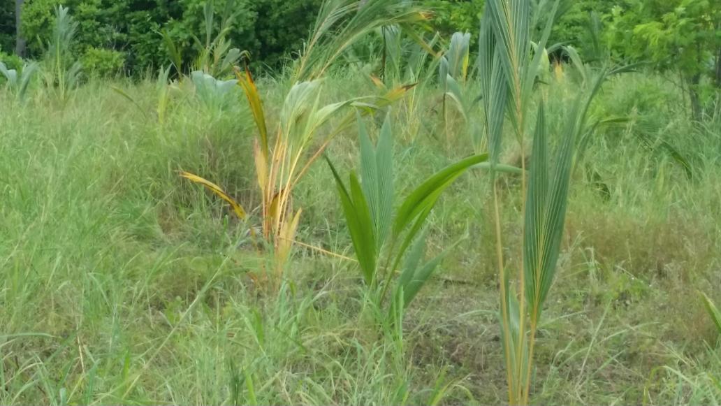 AWDI2007's tweet image. Day 9...☺