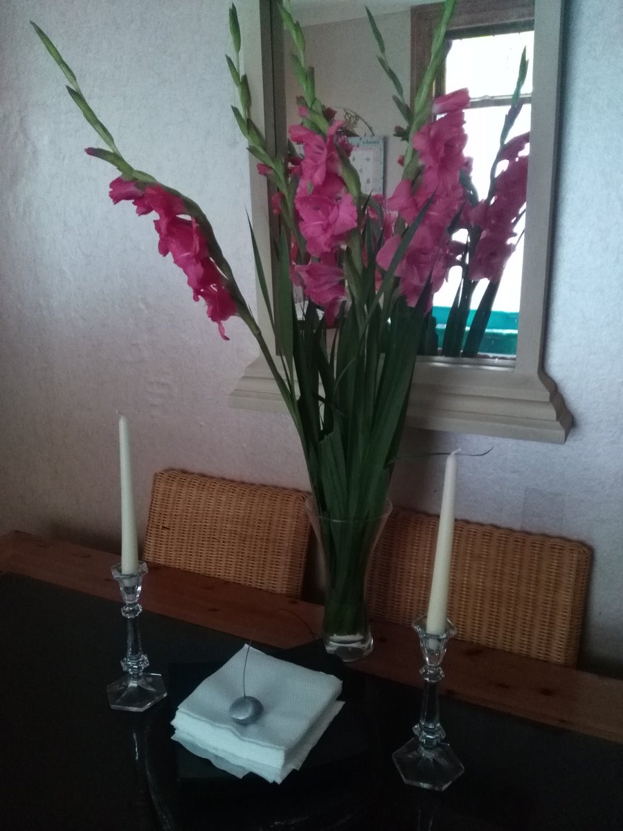 Beautiful flowers 😍 #opening #pink #flowers #goodmorning #greatmood #feelingawesome #workfromhome #workfromanywhere