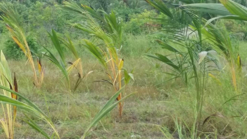 AWDI2007's tweet image. Day 9...☺