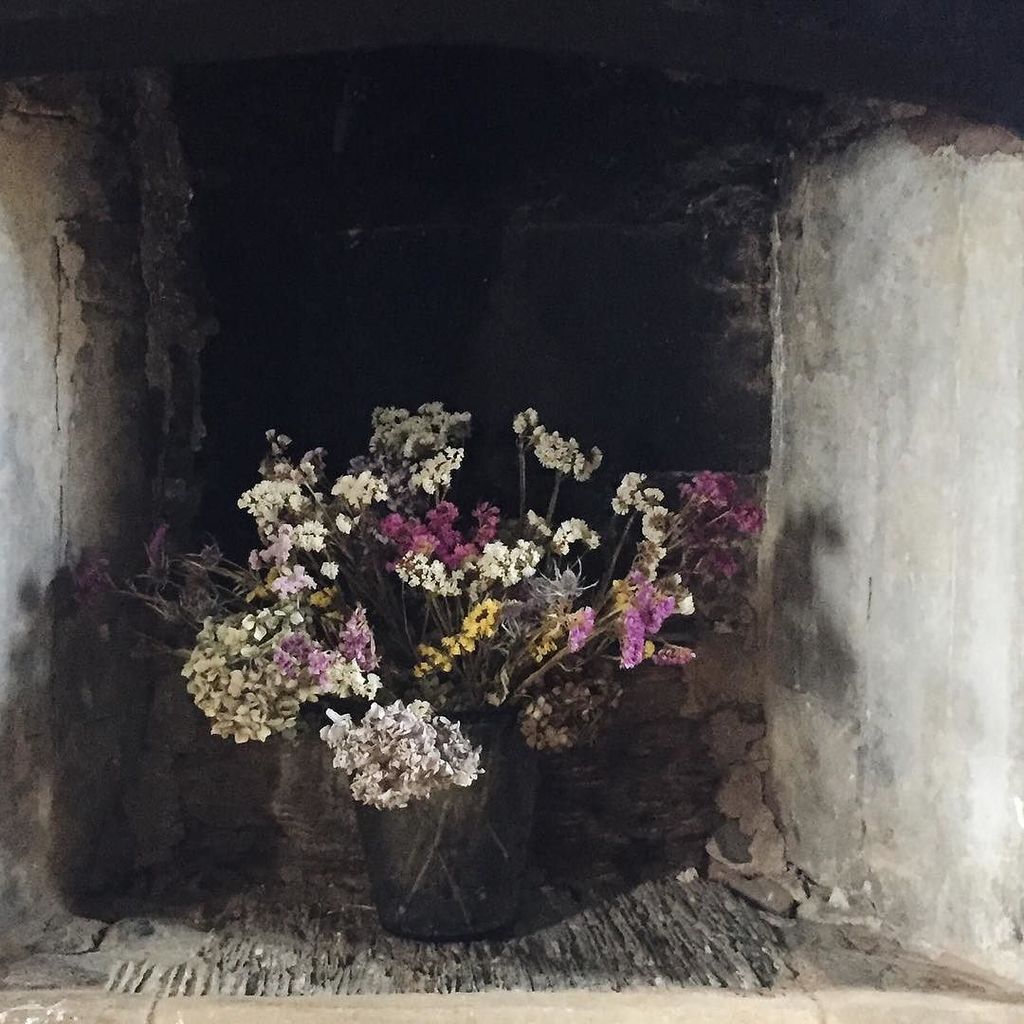 One from the weekend - sooty fire places make a perfect background 👌🏼 ift.tt/2cyBHas