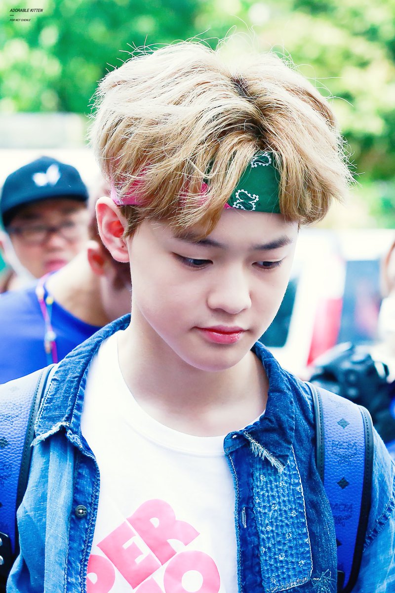 ADORABLE KITTEN❣ tweet media