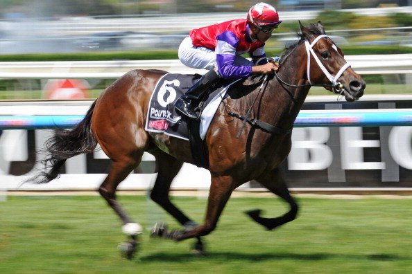 racingbase's tweet photo. TESTA ROSSA STAKES
Hucklebuck ready to kick off in #TestaRossaStakes
https://t.co/rFwBNFDDtG https://t.co/bbHzCSee0P