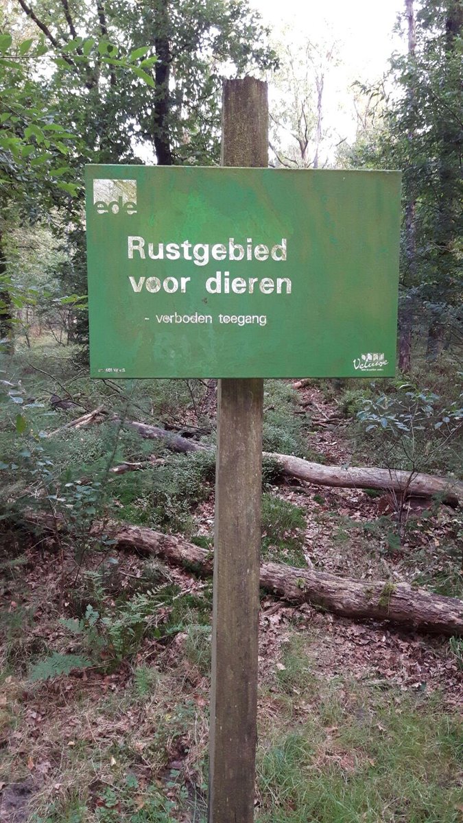 BoaEde_Victor's tweet photo. Extra controles ivm #bronst #edelherten. 1ste verbaal vanochtend opgemaakt. @ToezichtEde #illegaal #verstoring #Ede https://t.co/IoxQSVNQl3