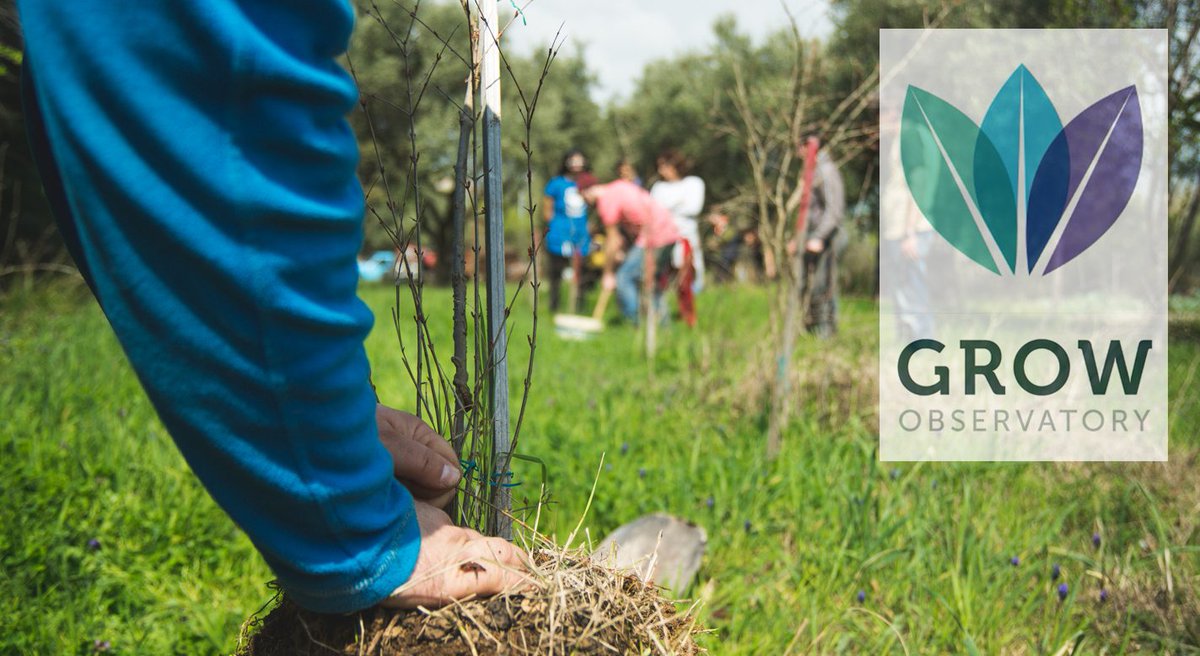 GROW Observatory tweet media