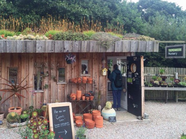 Tremenheere tweet media