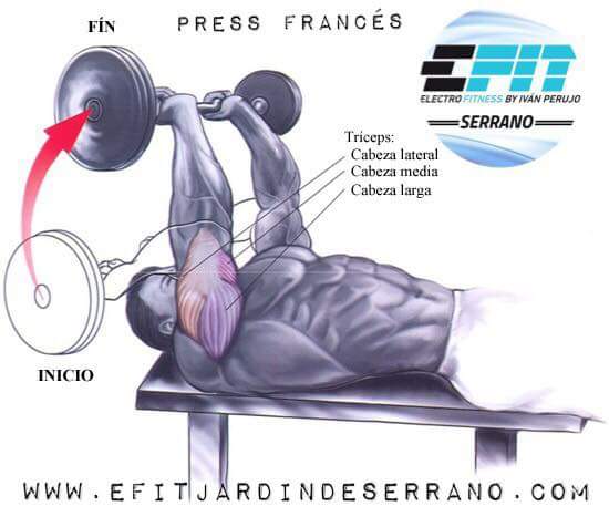 efit_serrano's tweet photo. ¿Quieres #entrenar tu #Tríceps? #Efitserrano te aconseja uno de los mejores #ejercicios para ello. Animate a probar! https://t.co/4e2c1dOFL4