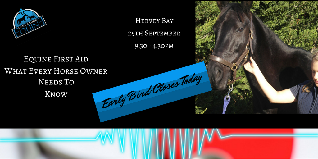 EquineCC's tweet image. Learn when to #callthevet and #whentoworry#equinecarclinic bit.ly/2bIbPXy Early Bird Hervey Bay ends today