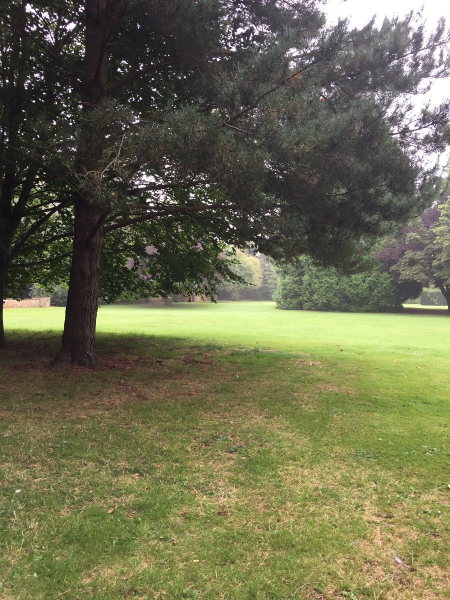 RC33Conf16's tweet photo. What a lovely venue #stamfordcourt #RC33 https://t.co/RvJwKadqyx