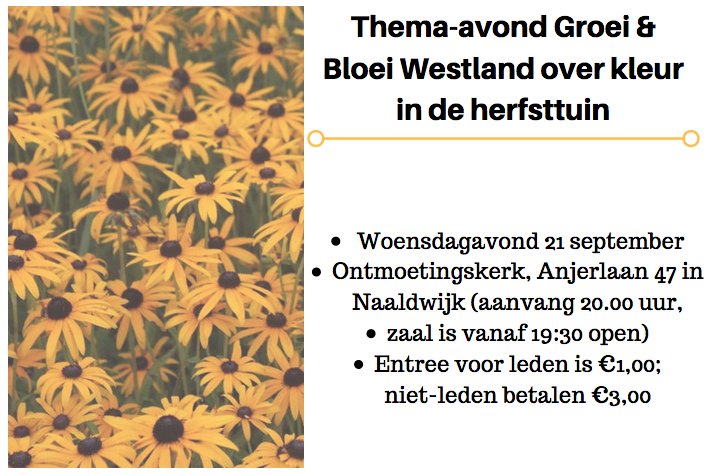 21 sept. houdt Hans Kramer van De Hessenhof bij <a href="/WestlandGroei/">Groei&Bloei Westland</a> een presentatie in Naaldwijk over herfstbloeiers!