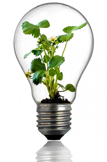 ClimateClever tweet picture