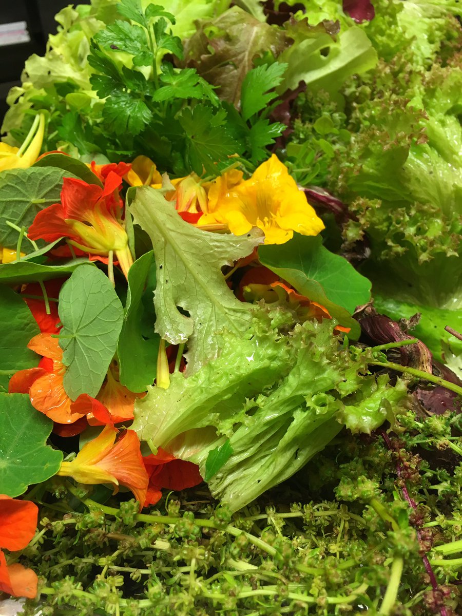 riversideskibb's tweet photo. Just a taster of what's here tonight @WestCorkTrail @atasteofwestcor #incredible #edible #local #organic #westcork https://t.co/7XwRf0TIJQ