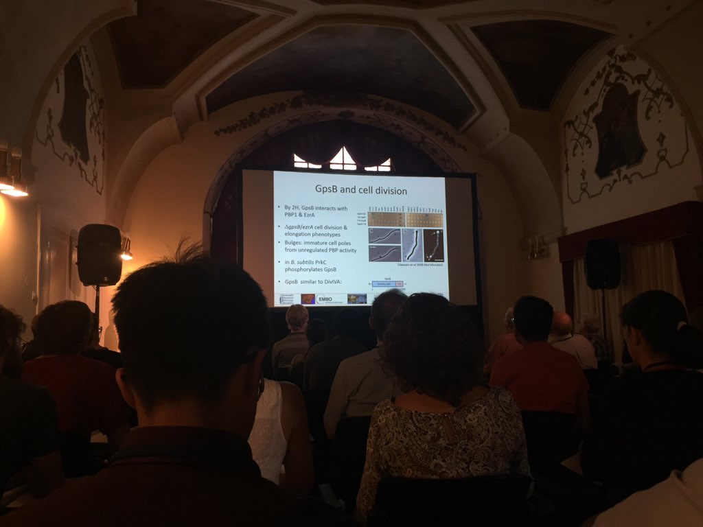 ClaessenLAB's tweet photo. Rick Lewis talking about GpsB #EMBObactcelldiv #Throwbackto2008 https://t.co/jsMGHtXmbz