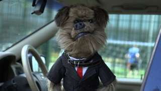 Hacker T Dog tweet media