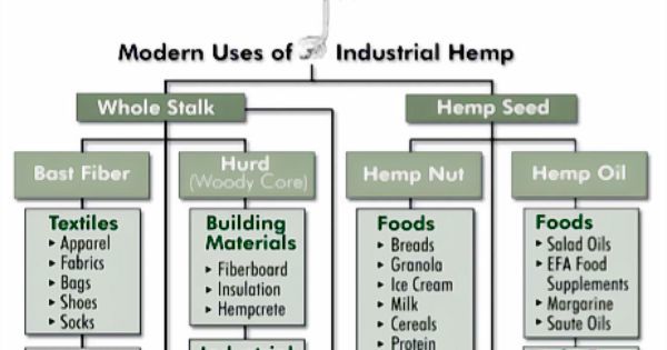 AnneMarieDoyle4's tweet photo. Just Pinned to Hemp: Modern Uses of Industrial Hemp https://t.co/BOVQiTbDG3 https://t.co/veydUC3Ml5