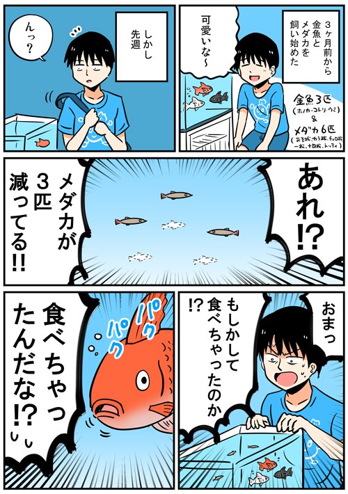 【漫画日記】金魚とメダカの話 https://t.co/KXyFKuRZTl 