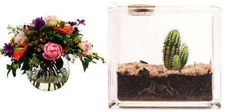 Ambius's tweet photo. Our #EcoWalls and #SilkFlowers are now on special. While stocks last! #Johannesburg - https://t.co/WqX490cEoy https://t.co/JoyuxEaWgZ