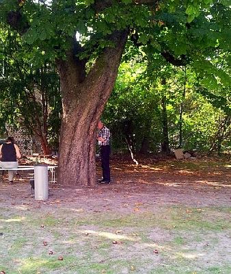 Letnapark's tweet photo. SCHÖNEN MITTAG!
"UndnunindenGarten!"
Fußnoten, Kommunikation,Schaukeln & heiße Stühle
15.00 Made in Germany #ilb2016 https://t.co/DbPeKRF2EA