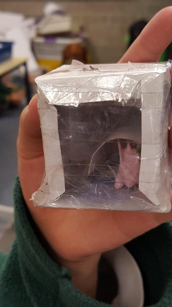 Samantha Lind tweet media