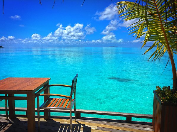 wellnessestelle's tweet photo. New artwork for sale! - "Table and Chair by the sea in Maldives" - https://t.co/Qt2ltKDuxh @fineartamerica https://t.co/tQQTvbupBe