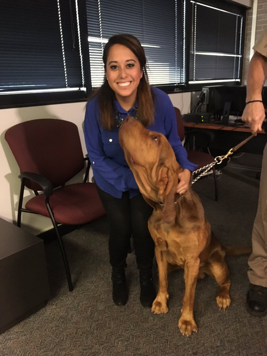 LilyWuKansas's tweet photo. There's a guest at the @WichitaPolice daily briefing. Blue is 18-months-old! #WPD #interwatch https://t.co/TElsc4tNYt