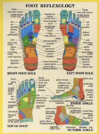 OsterlenZ's tweet photo. Äntligen hemsida uppe..!
https://t.co/RQiAvrBHyT
#Zonterapi #Österlen #Skåne #Simrishamn #Reflexology #Alternative https://t.co/xNXBoqkQI9
