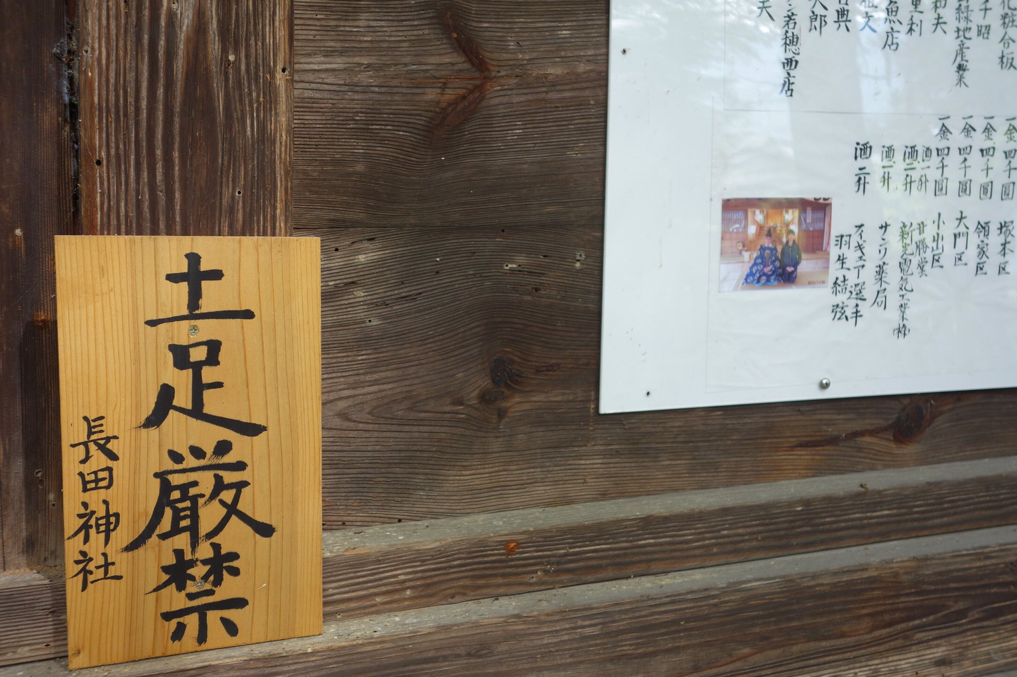 画像 : 最初に長田神社に会えたのは猫様。不思議な白猫様。きっと長田 