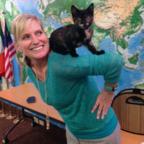 kyhumane's tweet image. More kitten grams on #GiveLocalLouisville day! Please give to help @kyhumane animals: bit.ly/1KEHQIO