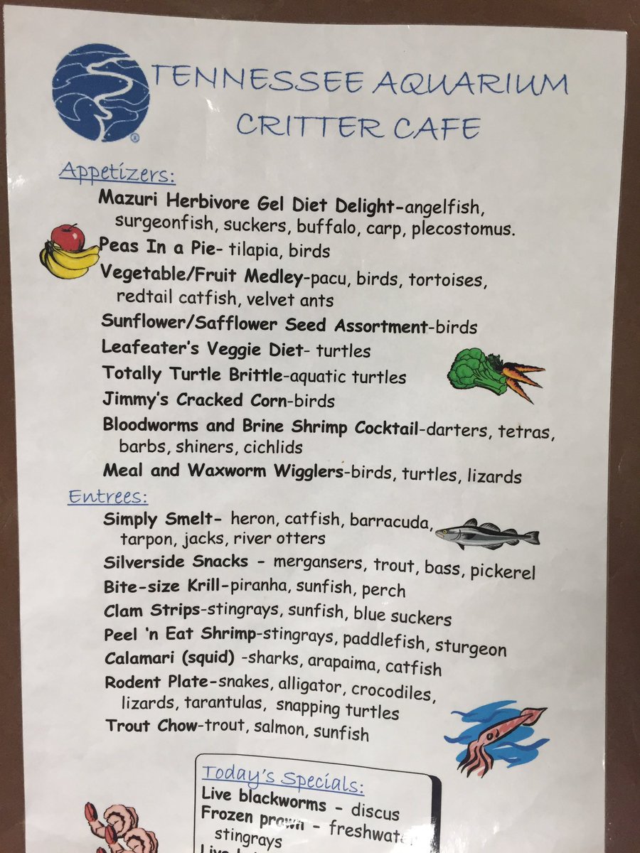 PainterPeople's tweet photo. Hungry? @TNAquarium #stemfellows #stf5 https://t.co/lFiEP6LpPC