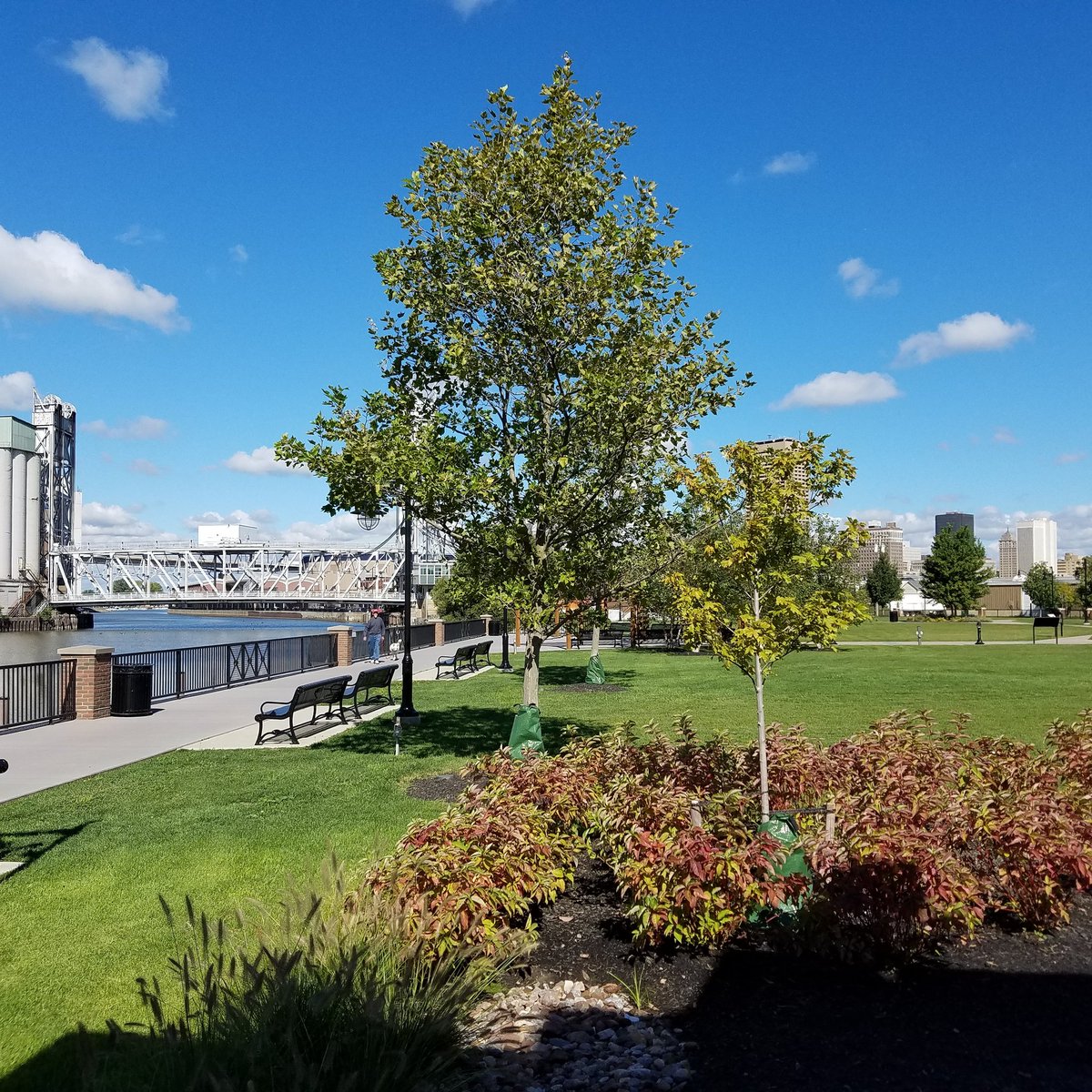 It's a picture perfect day to come have lunch on our patio! Take advantage of the weather while we have it!