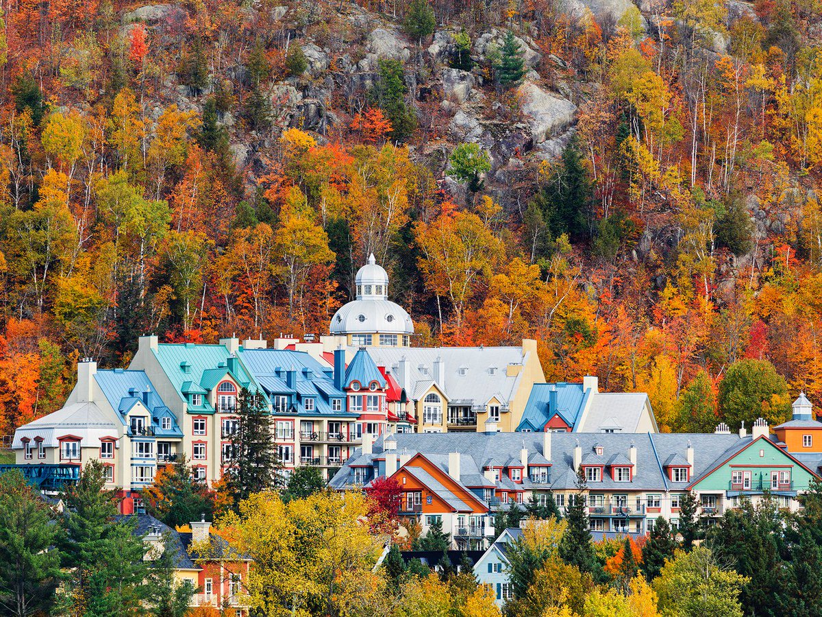 CNTraveler's tweet photo. These are officially the best drives for seeing the most beautiful fall foliage https://t.co/b6nANhtU2F https://t.co/he9I3f7oGi
