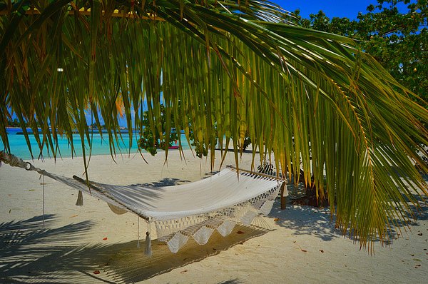 wellnessestelle's tweet photo. New artwork for sale! - "Hammock under palm tree on beach in Maldives" - https://t.co/E7wZGqQXwO @fineartamerica https://t.co/V0Y8iXoJ87