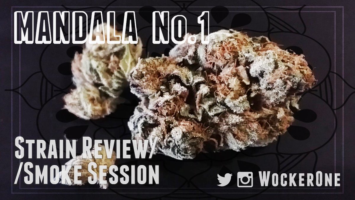 WockerOne's tweet photo. Time to check the #WockerOneVlog if you havn't yet! #marijuana #hightimes #cannabisculture
https://t.co/vGwxELCZM4 https://t.co/Fn3A1j4rol