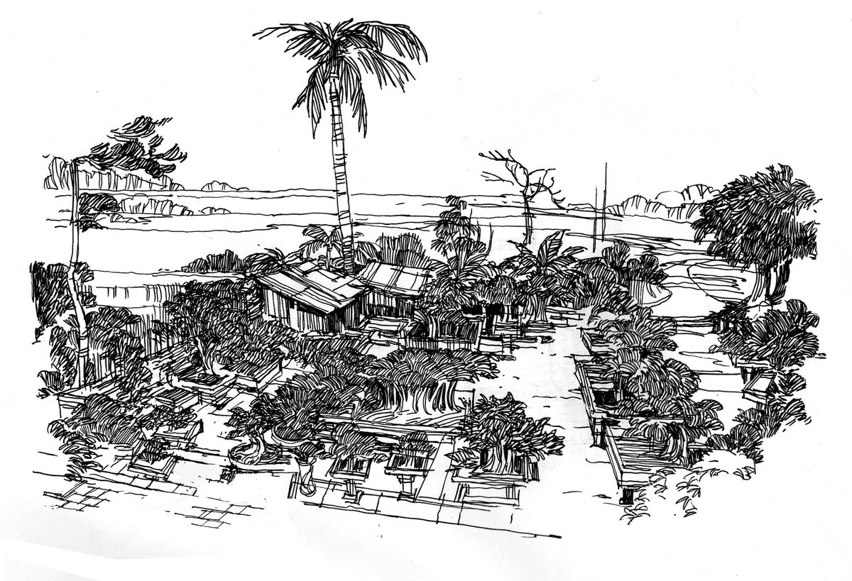 Vietnam Domestic adaptive II 