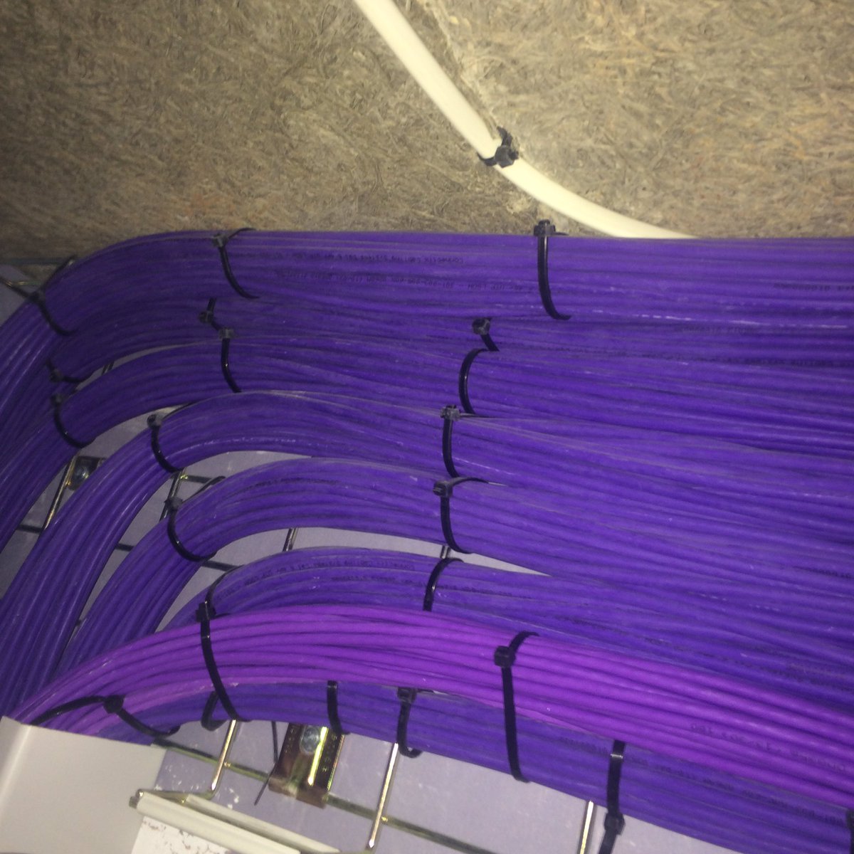 TWL_Tech's tweet image. Getting it done #fibre #cat5 #datacabling #om4