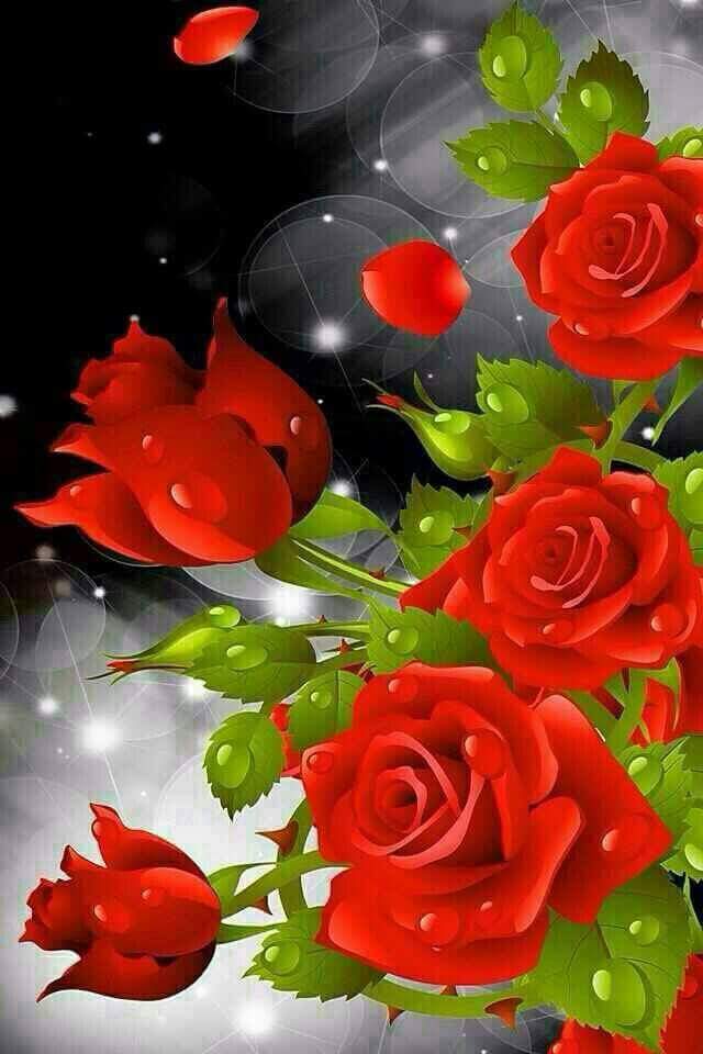 mostsfa20168 tweet picture