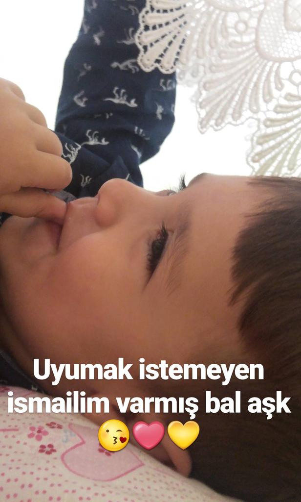 gedikbas8's tweet photo. #DünyaOdunlarGünü teyzesinin aşkı sende hödük olma emi 😞😯 https://t.co/qDMtObVsiB