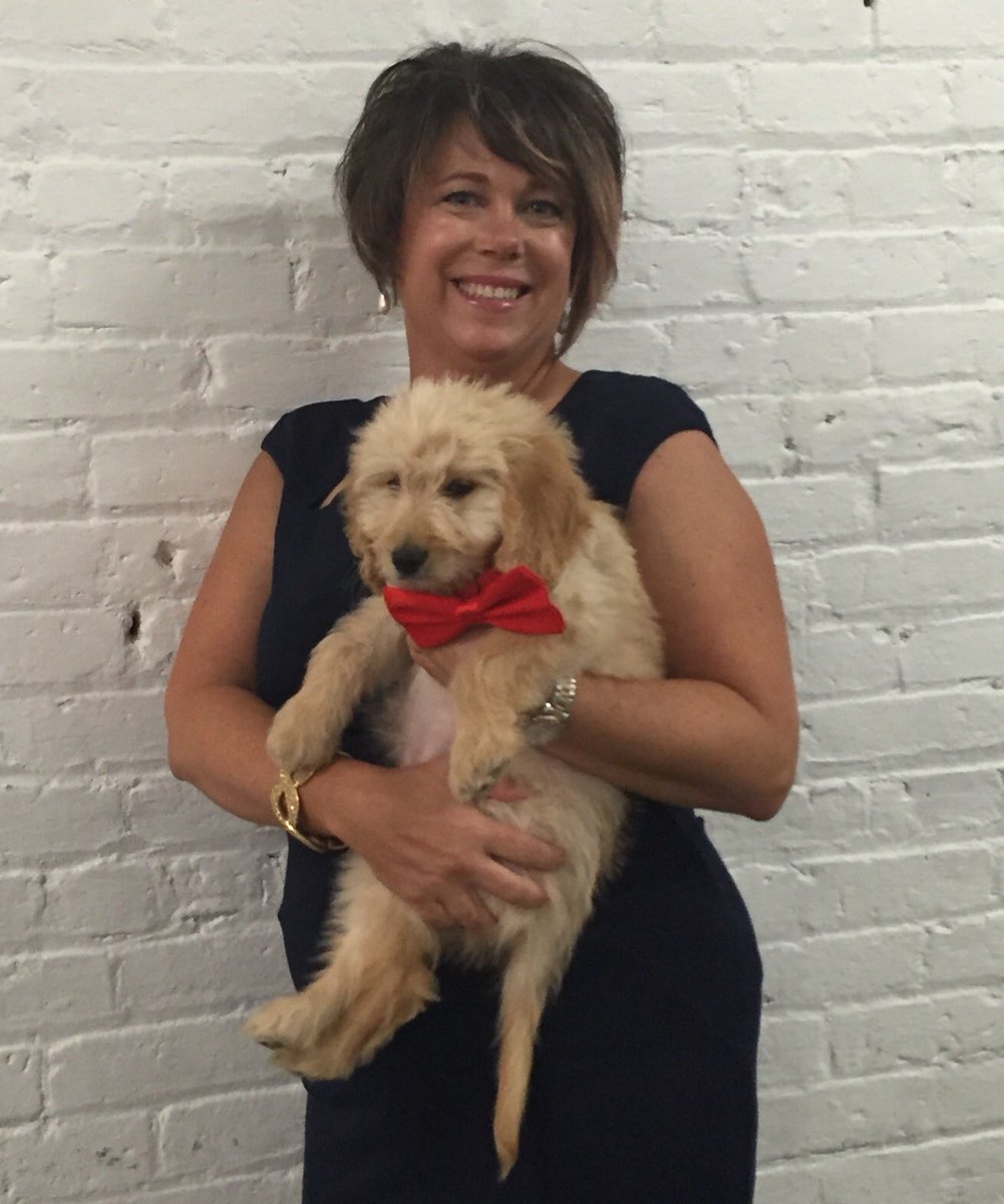 DonniTorres's tweet photo. Michael stole the show and everyone's hearts @SHHAnimalRescue #boneappetit2016 gala last night! #Aria #fighterfund https://t.co/EPk5oYZW5P