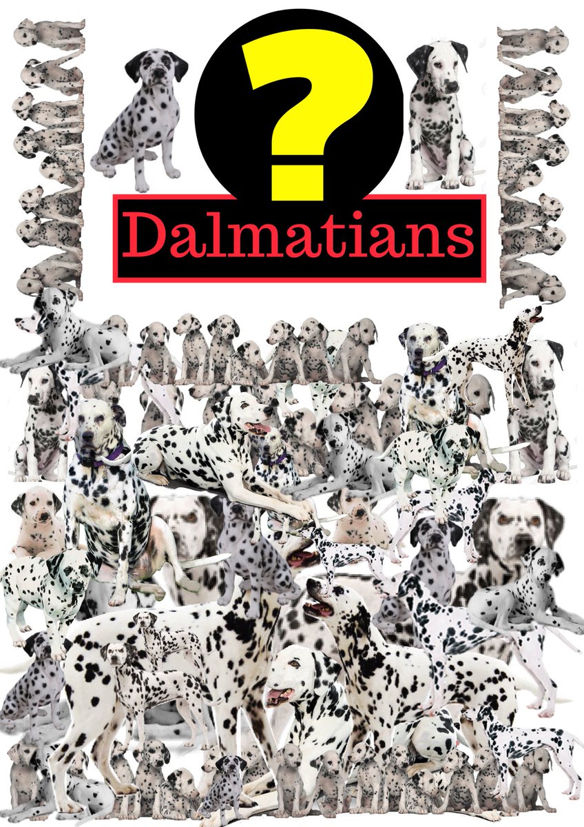 Decwells tweet media