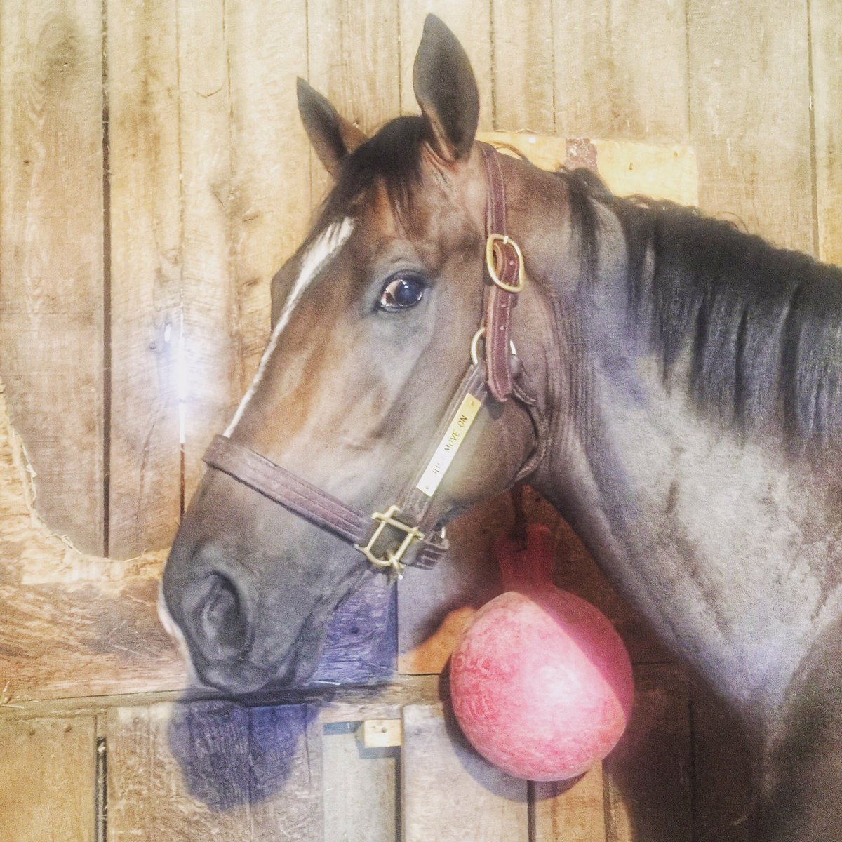 Kentucky Derby tweet media