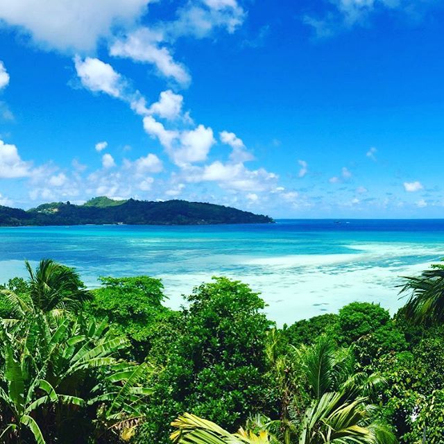 NomadGio's tweet photo. Office views #digitalnomad #nomad #happylife #seychelles #theindependentnomad https://t.co/P0fPUqkIWX